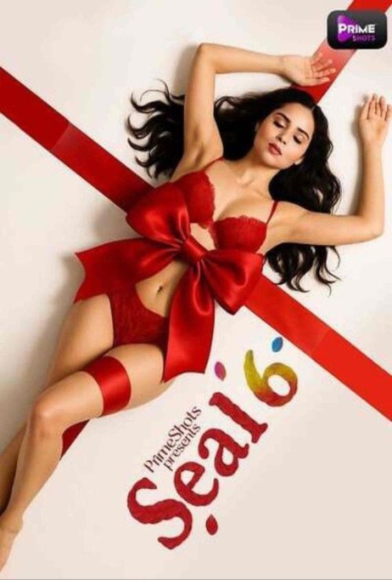 Seal (2026) Hindi Season 6 Episodes 1 To 3 PrimeShots WEB Series