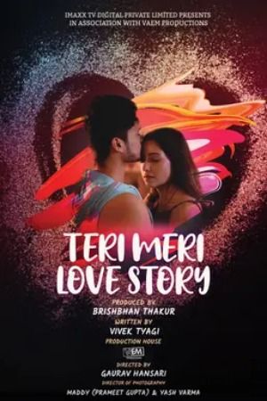 Teri Meri Love Story (2025) Hindi Season 01 Episodes 1 To 4 ImaxxTV WEB Series