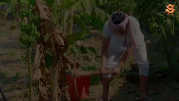 Screenshot Of Shadyantra 2 (2026) Hindi Saathi Short Films