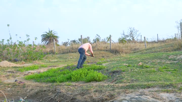 Screenshot Of Village Bhauji 2.0 (2026) Hindi Uncut Short Films